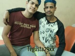 Tegusta29xx
