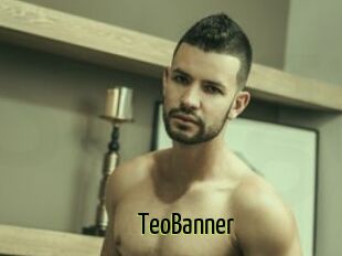 TeoBanner