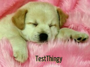 TestThingy