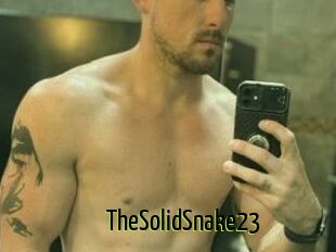 TheSolidSnake23