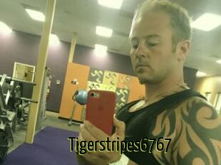 Tigerstripes6767