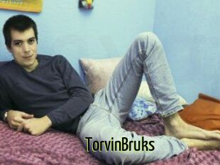 TorvinBruks