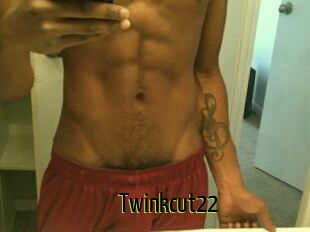 Twinkcut22