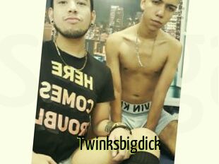 Twinksbigdick