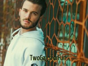 TwoGaysForFun