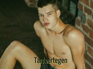 Tambertegen