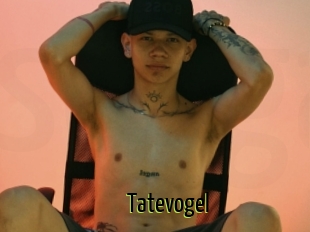 Tatevogel