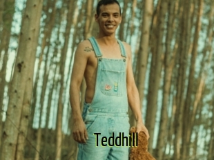 Teddhill