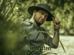 Teddysteel