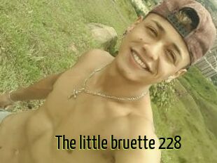 The_little_bruette_228