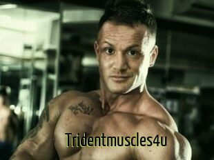Tridentmuscles4u