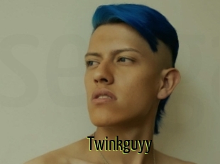 Twinkguyy
