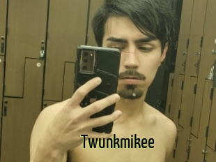 Twunkmikee