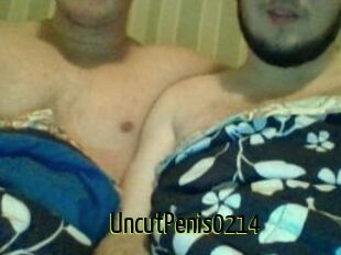 UncutPenis0214