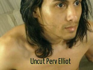 Uncut_Perv_Elliot