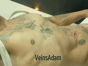 VeinsAdam