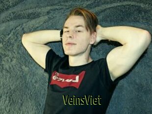 VeinsViet