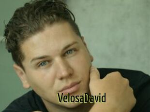 VelosaDavid