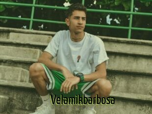 Velamikbarbosa