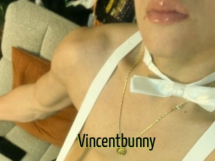 Vincentbunny