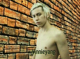 Vinnieyang