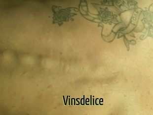 Vinsdelice