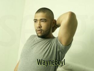 WayneBoyI