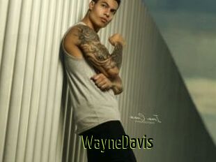 WayneDavis