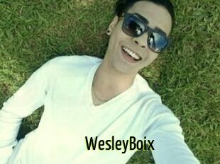 Wesley_Boix
