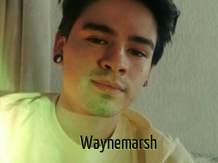 Waynemarsh