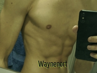 Waynenort