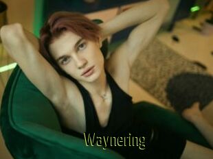 Waynering