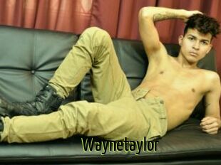 Waynetaylor