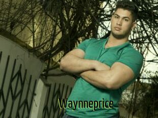 Waynneprice