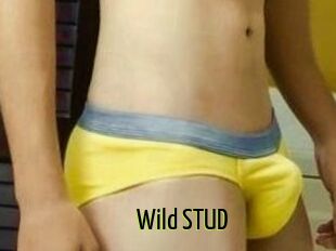 Wild_STUD