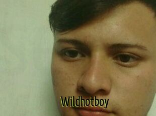 Wild_hotboy