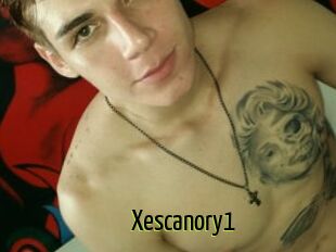 Xescanory1