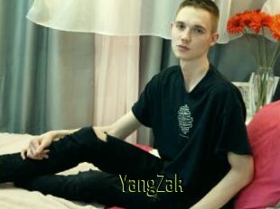 YangZak