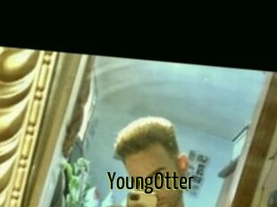 YoungOtter