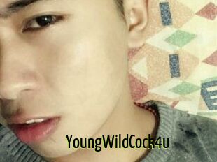 YoungWildCock4u