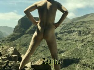 Zebrito