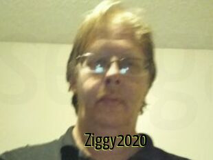 Ziggy2020