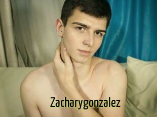 Zacharygonzalez