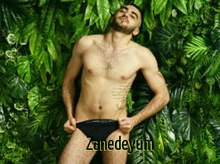 Zanedeyum