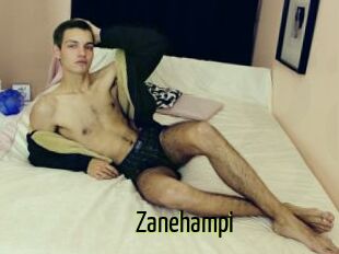 Zanehampi