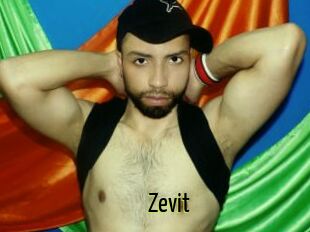 Zevit
